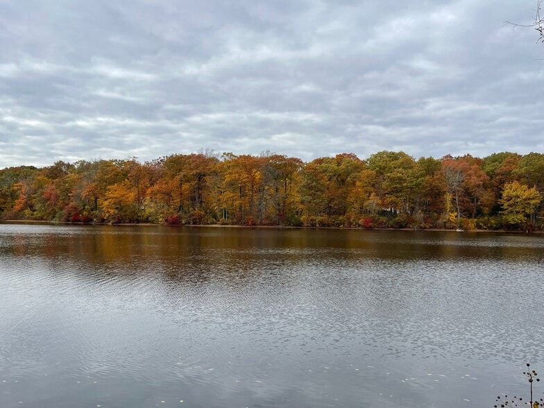 The pond - 17 Elderberry Dr