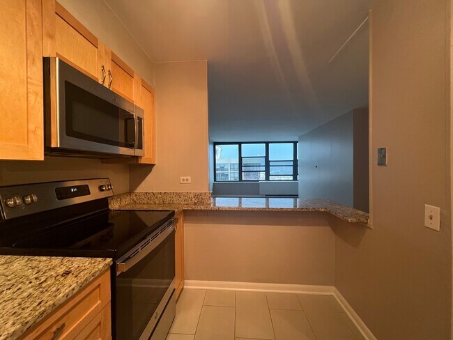 Building Photo - 1560 N Sandburg Terrace