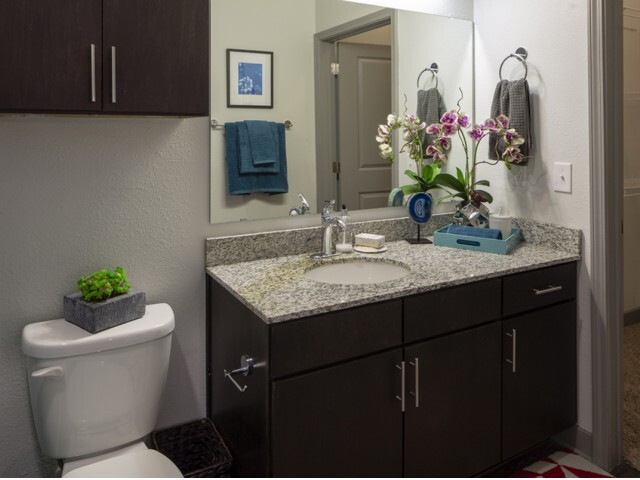 Apex - Bathroom - Northside Apartments