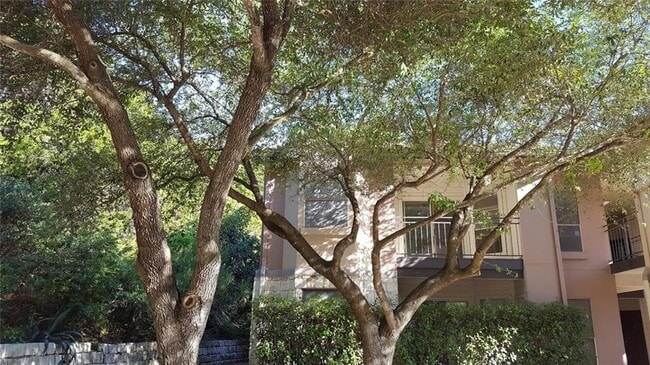 Building Photo - 6000 Shepherd Mountain Cove