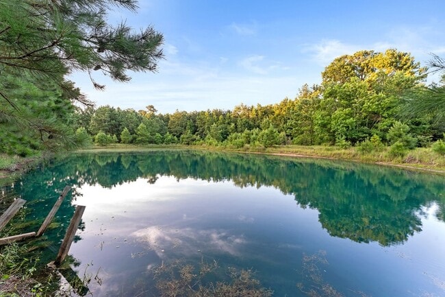 Building Photo - 8402 Matthews Ln