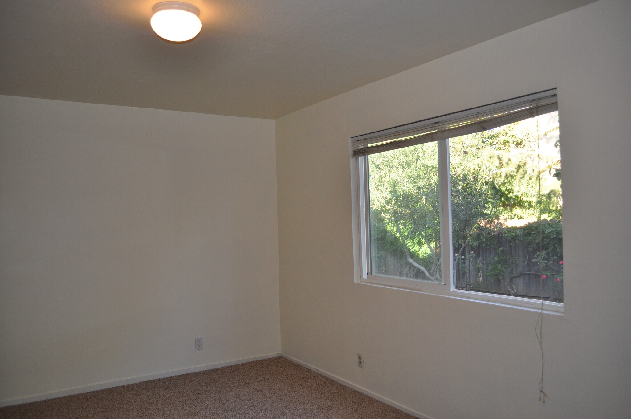 Second Bedroom - 829 Hunt Ave