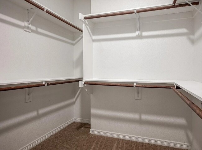 Building Photo - 2709 Vine Ct