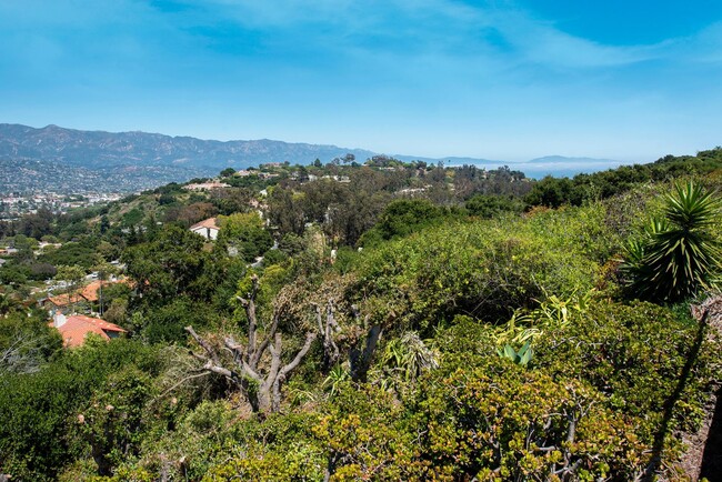 Building Photo - Remodeled Alta Mesa home with Mountain and City Views!