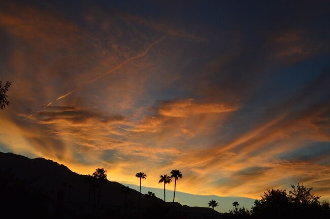 Building Photo - Hollywood Glam in Palm Springs. Furnished,...