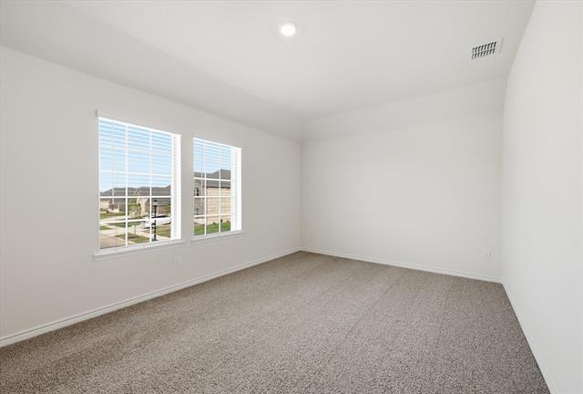 Building Photo - 3717 Possum Kingdom Ct