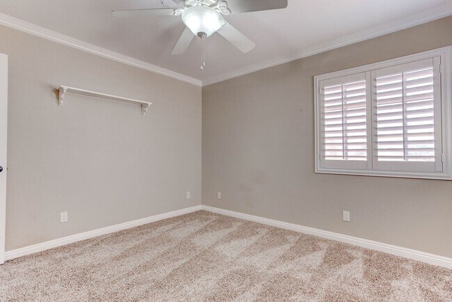 Building Photo - 809 Royal Birch Ln