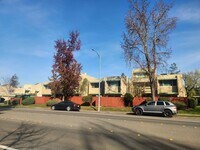 Building Photo - Nice and Bright lots of light charming two story townhouse in beautiful Bennett Valley