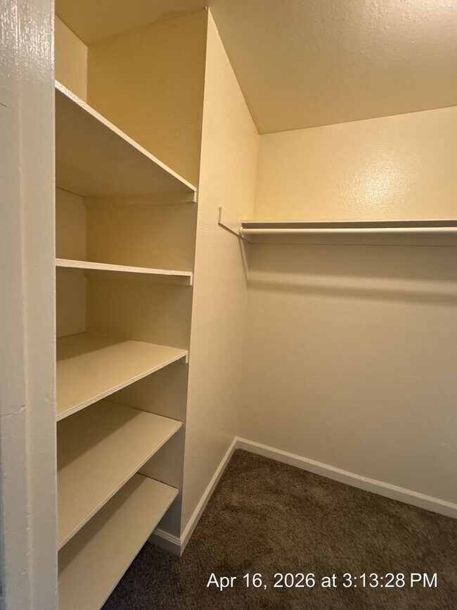 Building Photo - Downstairs Unit Move in Ready!