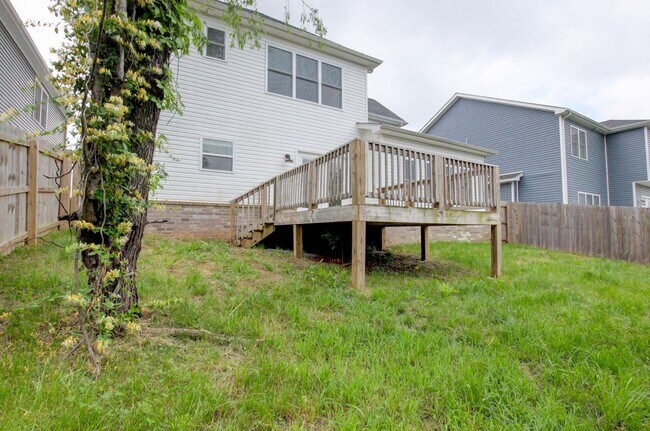Building Photo - Whoa....this is sharp and new in every roo...