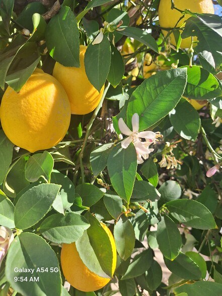 Building Photo - 14597 Cochiti Dr