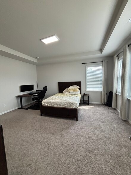 Master Bedroom - 719 Saffron Blvd