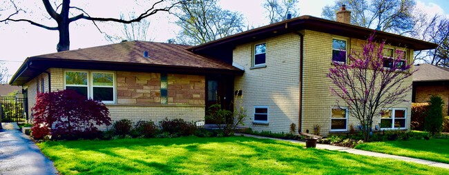 Primary Photo - 711 Lamon Ave