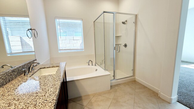 Building Photo - NEW 3 Bedroom home in ZANJERO TRAILS!