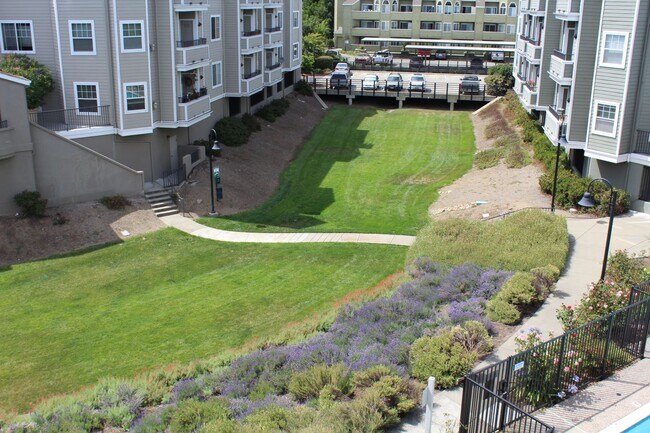 Building Photo - 1587 S Novato Blvd