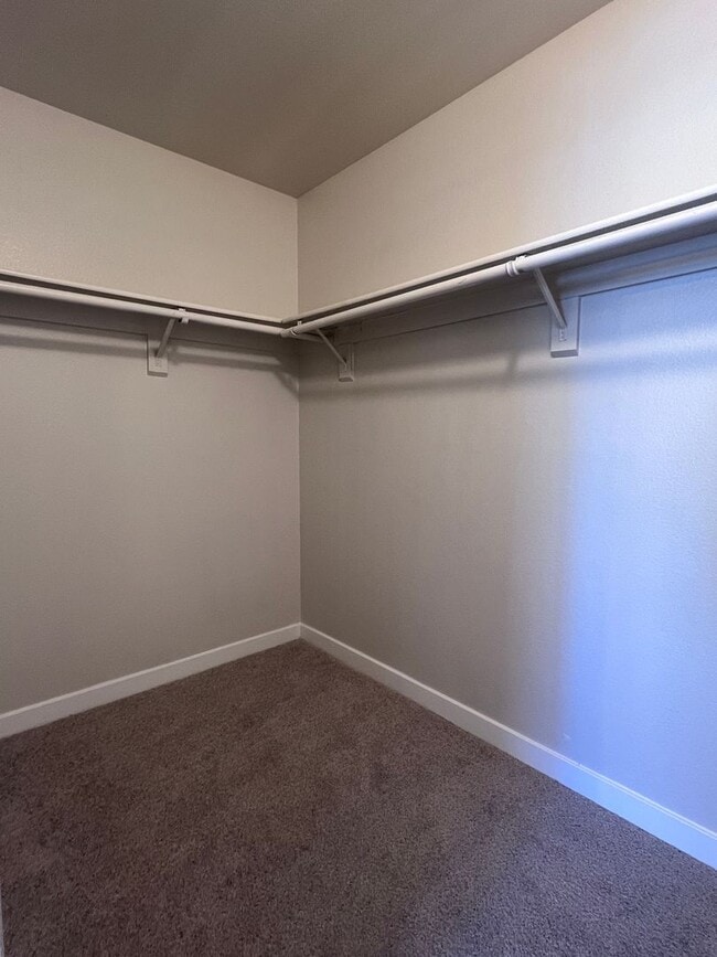 Building Photo - Newly Remodeled 2 bed 2 bath at Park One