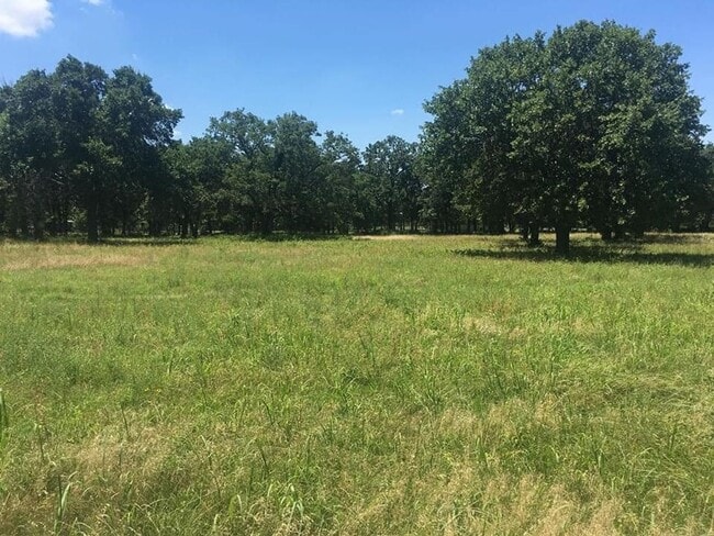 Building Photo - HORSE PROPERTY 4/2/2 + 4 acres in Peaster ...
