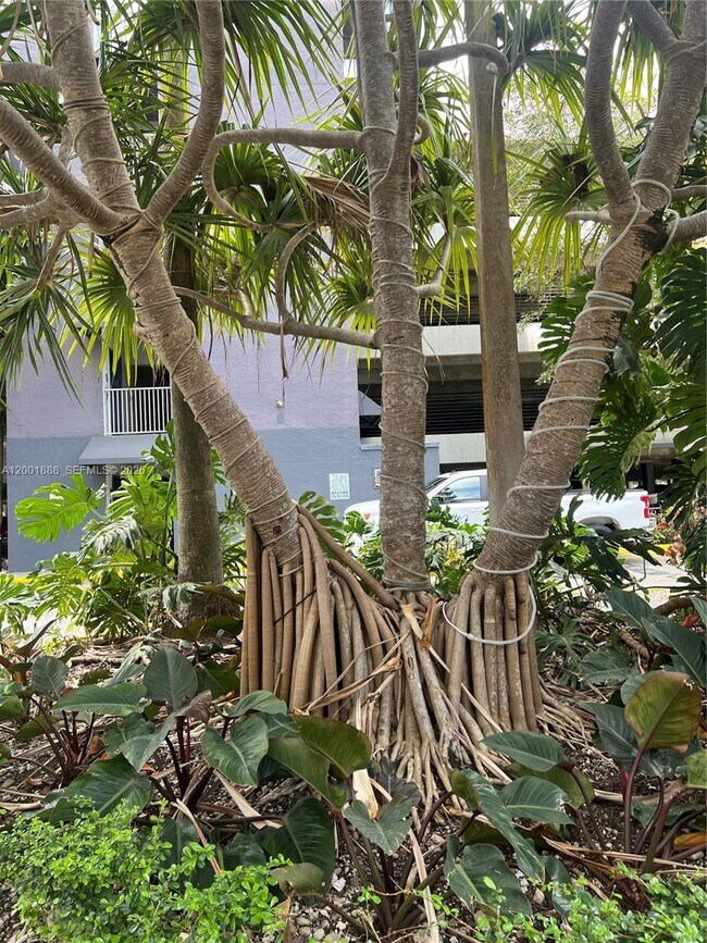 Building Photo - 850 N Miami Ave