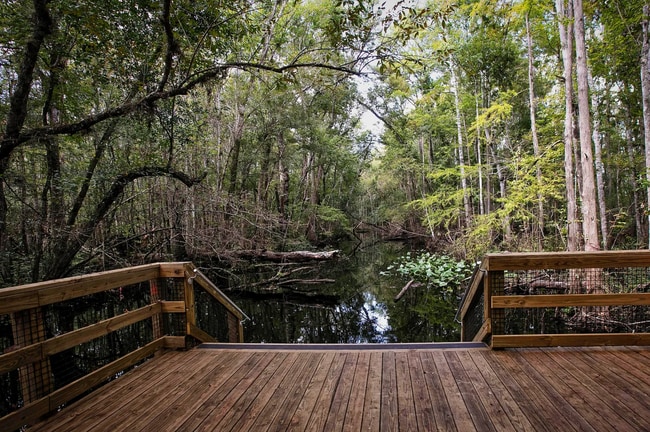 Building Photo - Brand-New Home in The Landing at St. Augustine