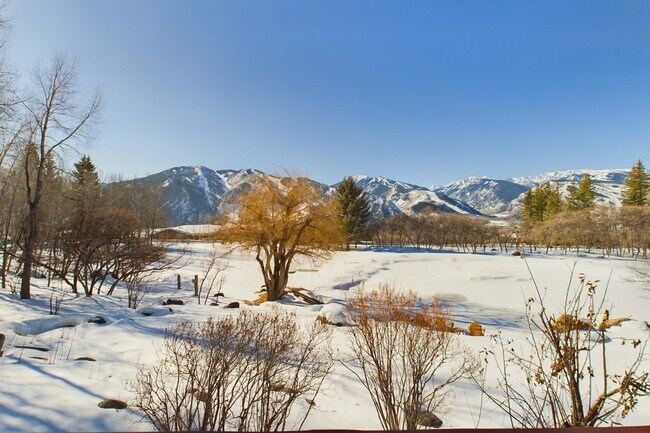 Building Photo - 209 E Reds Rd