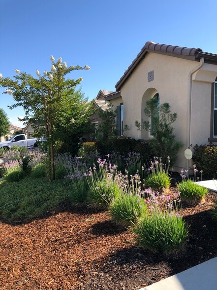 Front yard - 30426 Cowboy Ln