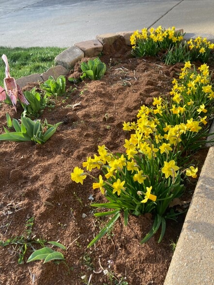 Building Photo - 3203 Trellis Ln