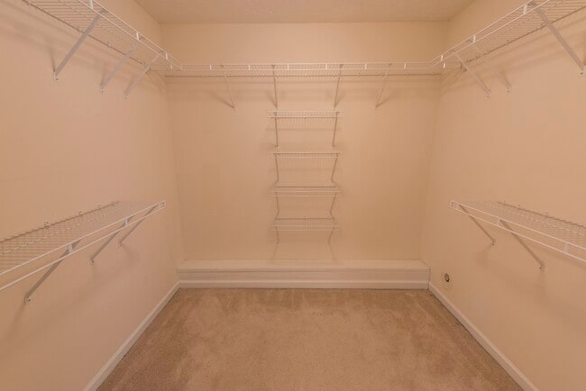 Building Photo - 894 Tulane Rd