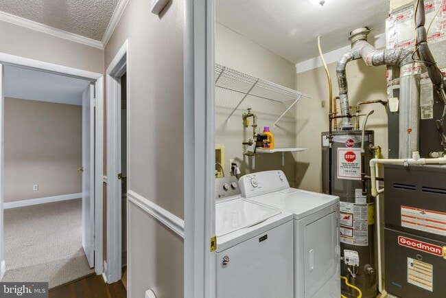Building Photo - 441 Paddock Ct