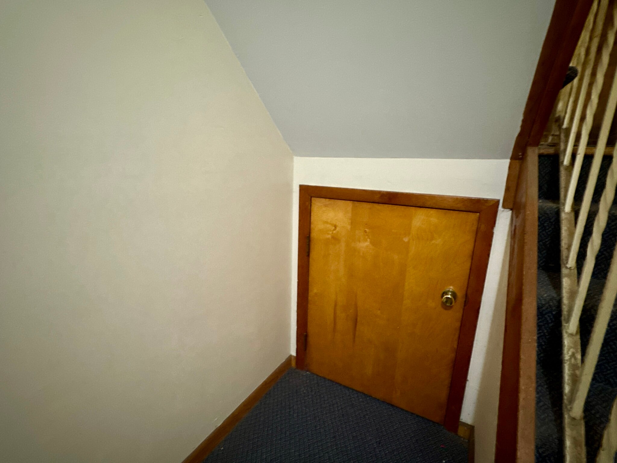 Storage in common area - 239 Morningside Ave