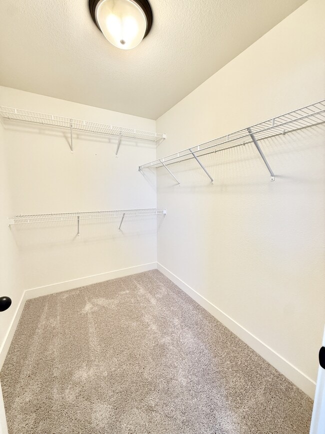 Building Photo - 2392 Jasmine Ln