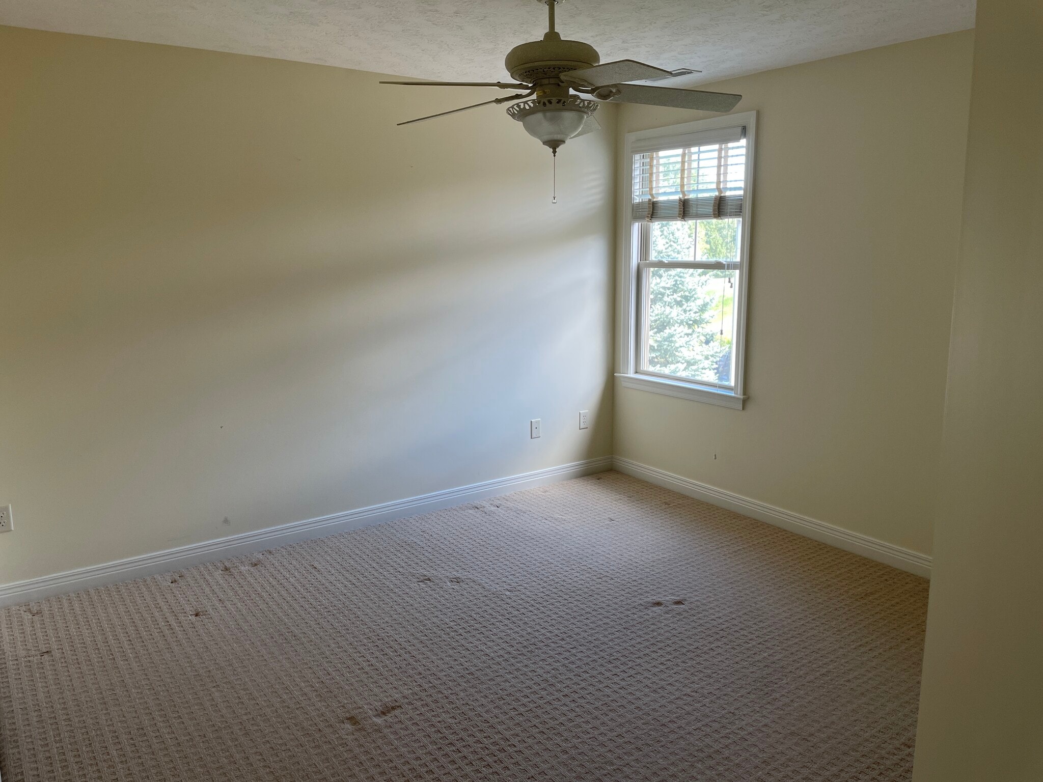 Building Photo - 4217 Village Club Dr