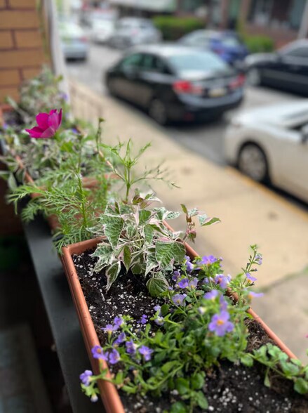 Front Porch flower boxes - 4210 Calvin St