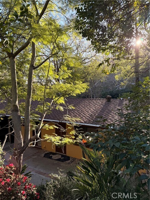Building Photo - 2500 Benedict Canyon Drive