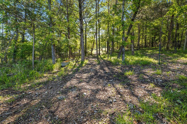 Building Photo - 8760 Stuckey Ln