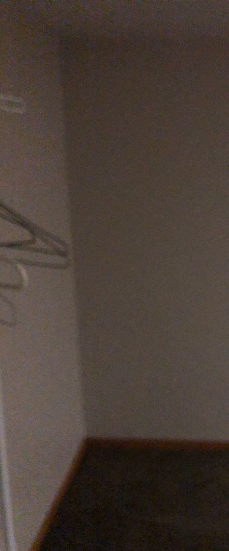 Building Photo - 3 Bed 2 Bath Single Family Home with Additional Space in Basement!