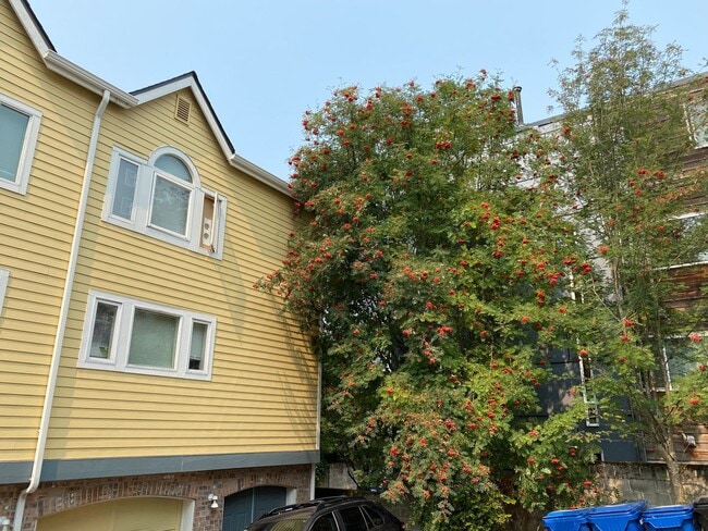 Building Photo - North Capitol Hill Garden Unit- 2 bedroom ...