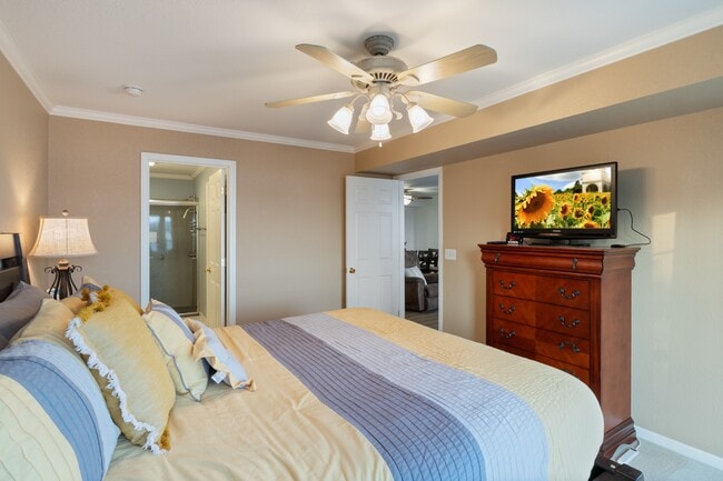 Building Photo - 1407 Harbour Towne Dr