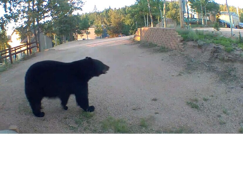 Building Photo - 213 S West St