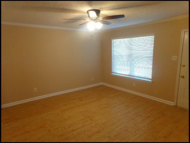 Building Photo - 15 Lillie St