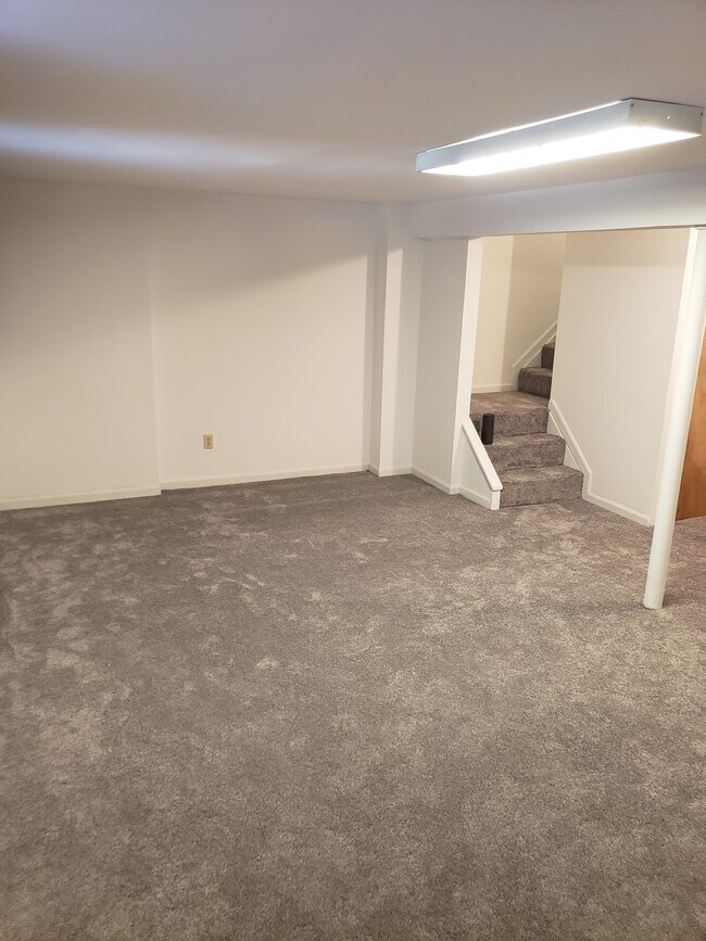 Basement - 222 Blake Rd