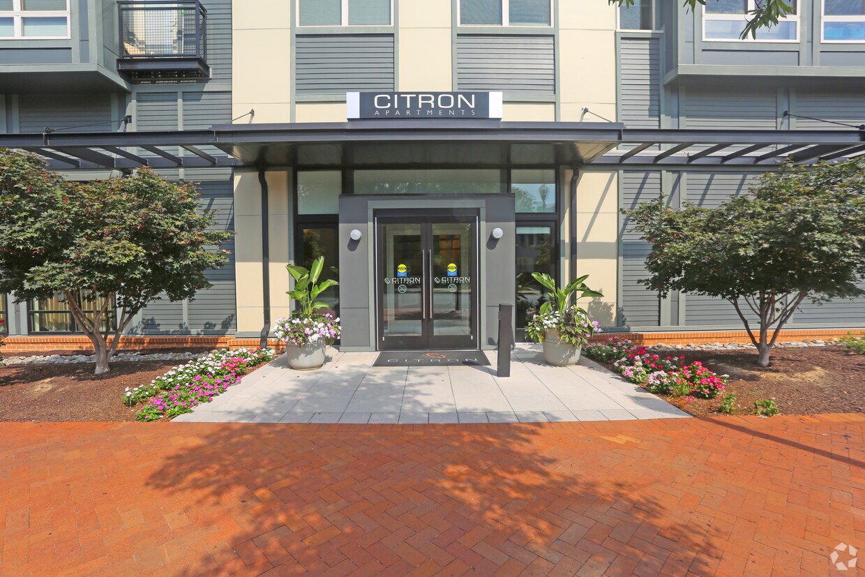 The Citron Apartments Silver Spring