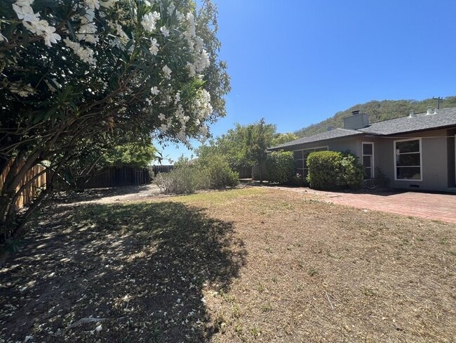 Building Photo - 436 Via Herbosa