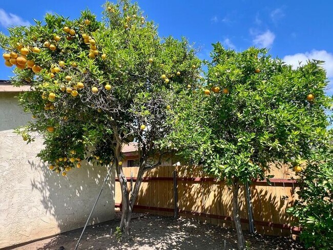 Building Photo - Welcome to your new home in the heart of Pacific Beach!