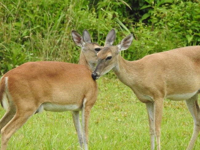 Building Photo - 667 Miller Dr