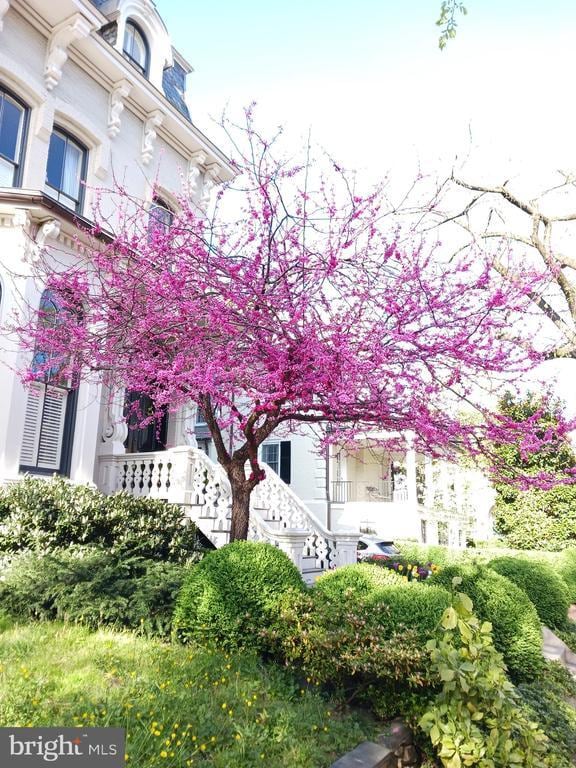 Building Photo - 2500 Q St NW