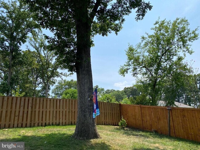 Building Photo - Show stopper