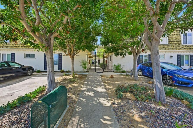 Primary Photo - 4036 Shasta St