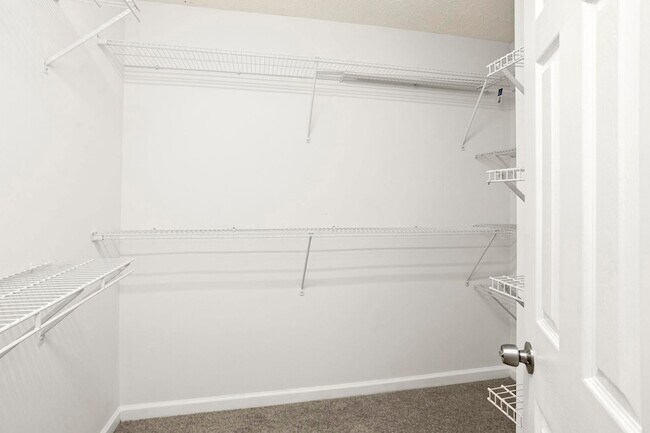 Building Photo - 1604 Overcreek Ct