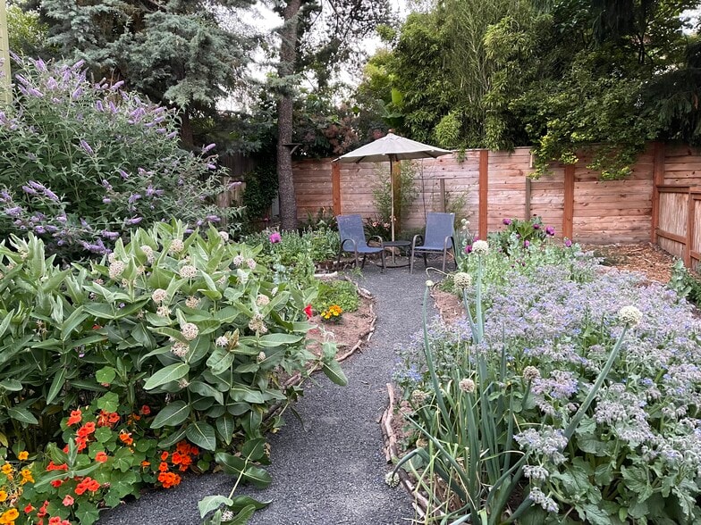 Backyard - 3521 NE 8th Ave