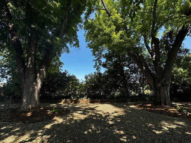 Building Photo - Remodeled Vintage home just 1 block from t...